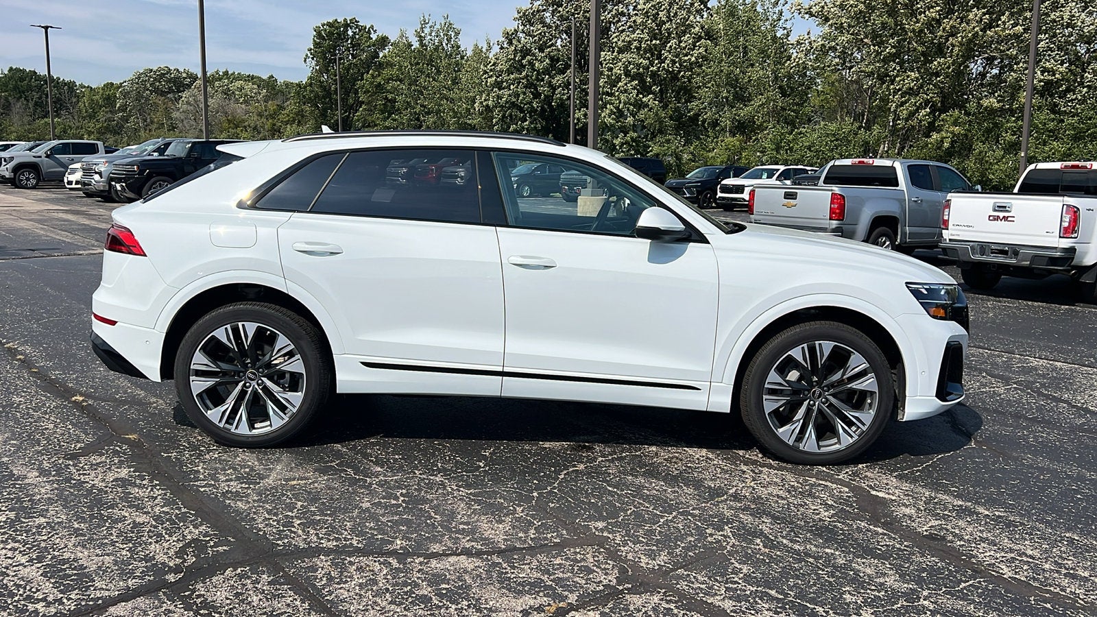 2025 Audi Q8 Premium Plus 55 TFSI quattro